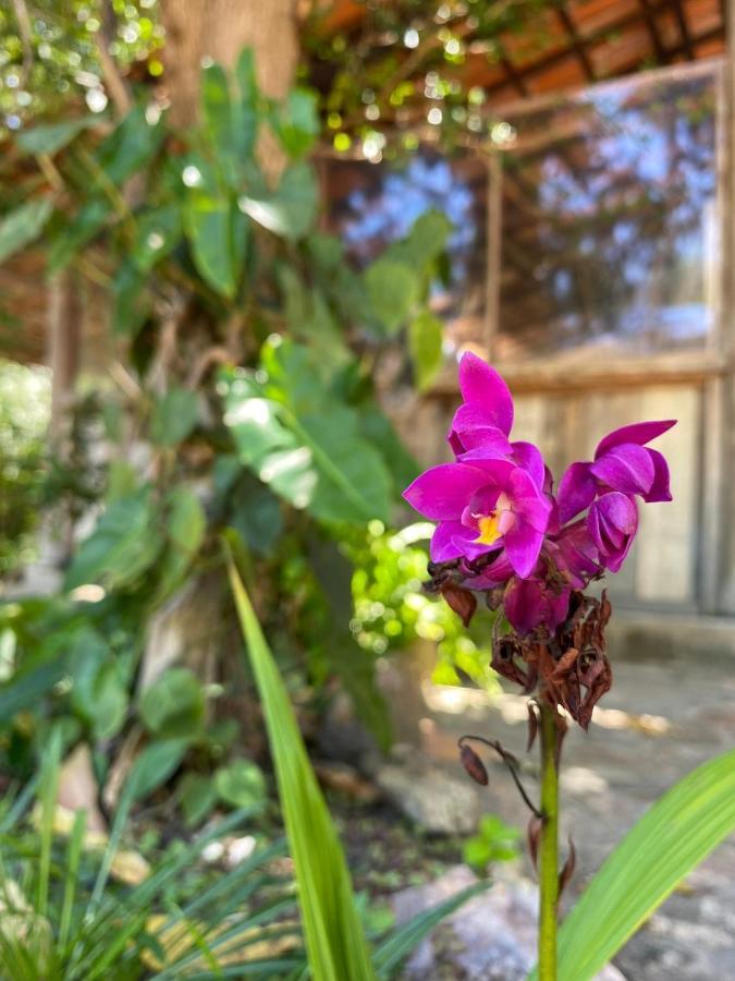 Donana Hostel De Guine Guine de Baixo ภายนอก รูปภาพ